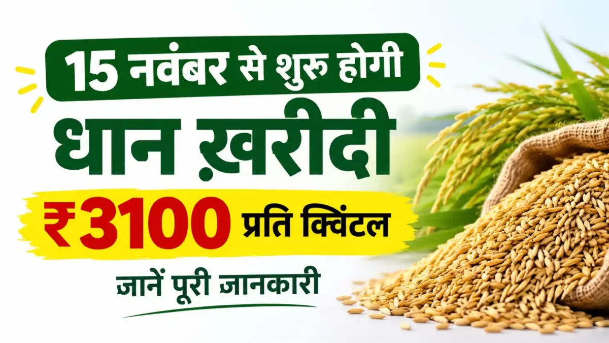 छत्तीसगढ़ में 15 नवंबर 2026 से 31 जनवरी 2027 तक ₹3100 प्रति क्विंटल की दर से धान खरीदी। जानें 160 लाख MT लक्ष्य, नियम और किसानों के लिए जरूरी बातें।