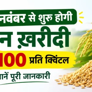 धान खरीदी 2026-27: 15 नवंबर से ₹3100 प्रति क्विंटल पर 160 लाख MT लक्ष्य