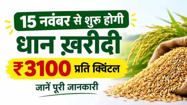 छत्तीसगढ़ में 15 नवंबर 2026 से 31 जनवरी 2027 तक ₹3100 प्रति क्विंटल की दर से धान खरीदी। जानें 160 लाख MT लक्ष्य, नियम और किसानों के लिए जरूरी बातें।
